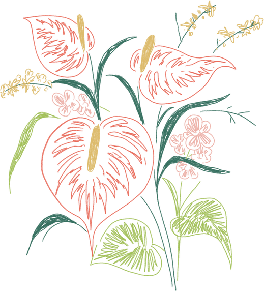 Handdrawn Anthurium Inflorescence 